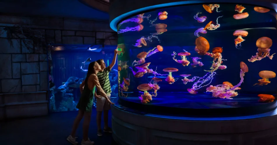 How to Spend 48 Hours in Las Vegas